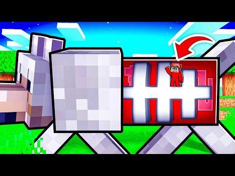 Can I Survive Inside My Dog?