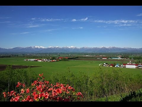 北海道空撮 十勝平野（Tokachi open field）