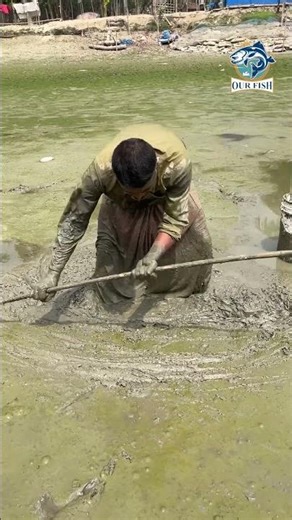 This is how I earn money by catching fish.