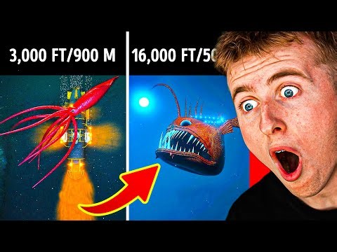 3D Journey to the Ocean DEPTHS!