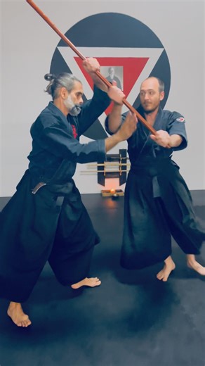 Aikido Martial Fusion Jotori