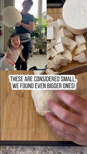 Cooking GIANT puffballs #mushroom