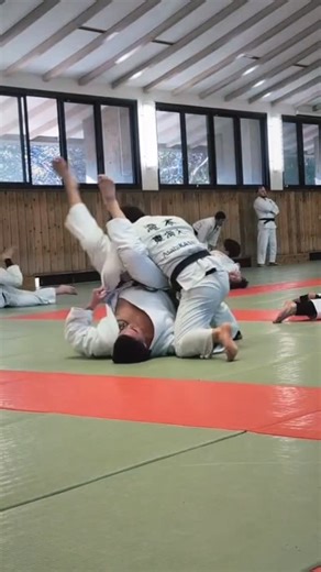 Andy on Instagram: "🌺☠️ Whoever has more control over themselves in a fight will have a significant advantage in the fight. . This encompasses both physical (strength, dexterity, flexibility, arsenal of technique, and stamina) and also mental (tenacity + grit, library of techniques available, mental capacity, and tactics.) . Here I utilize an Open Guard to attack a Sankaku initially. Upon defense of the initial attack I turn it in to a Omoplata then into Sweep, then finishing in Osaekomi. A com