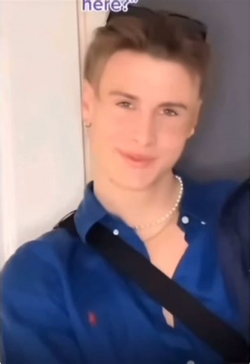 Hilarious Horror Cat Memes on TikTok