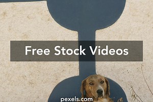 Background Animations Videos, Download The BEST Free 4k Stock Video Footage & Background Animations HD Video Clips