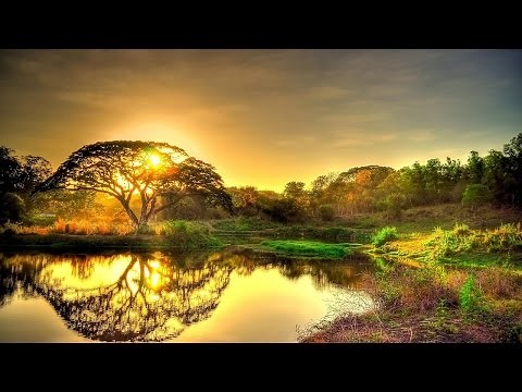 2 ore di Musica Celtica rilassante