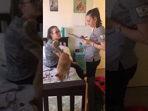 Head to Toe Assessment ASMR 1