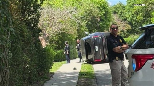 Tiger Woods released on bail hours after arrest at crash scene on suspicion of DUI