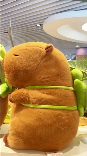 A Group of Plush Capybara with Turtle Backpacks...