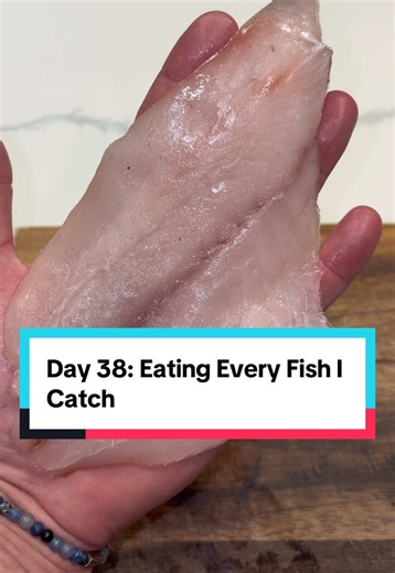 Day 38: Eating Every Fish I Catch
