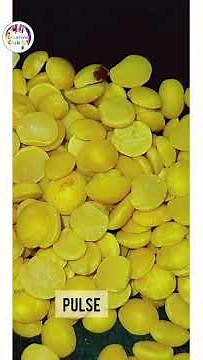 skin model | science modle| (full video link in comments)