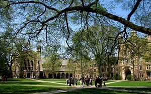 Community/City Information