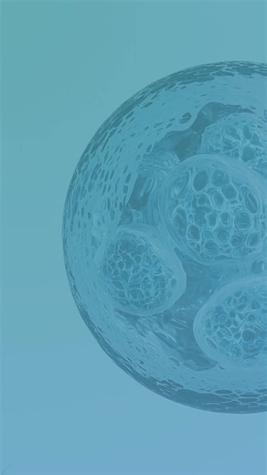 STEM Cells: The Key to Your Health Transformation TikTok