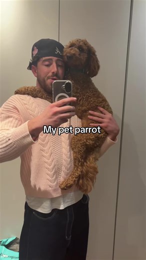 Human climbing frame