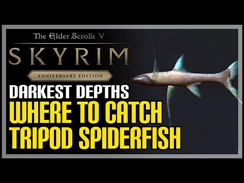 Tripod Spiderfish Location Skyrim How to Catch Tripod Spiderfish