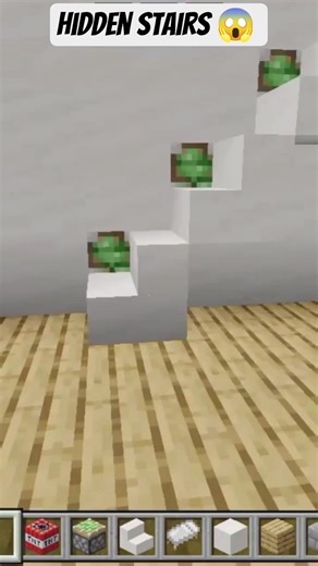 secret stairs in minecraft 😱