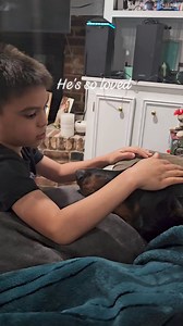 3.8K views · 122 reactions | They love their poochie #poochie #loyalty #dog #loyaldog #dogstagram #dobermanpinscher #beast #doberman #doglife #doglove | Ragnar the Doberman | Facebook
