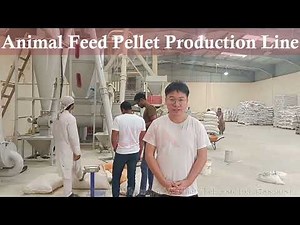 animal feed pellet production line | animal feed mill | animal feed plant | animal feed production