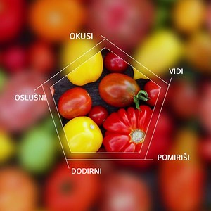 Novi #LG #FROST frižideri sa Linear Inverter kompresorima su stigli i donose svežinu koja traje duže!🌪🌪🌪 Došlo je vreme da vidite, okusite, dodirnete, čujete i osetite prave moći namirnica! .👀👅👆👂✨ ➡ https://www.lg.com/rs/frizideri/lg-GBB72PZEFN | LG Global