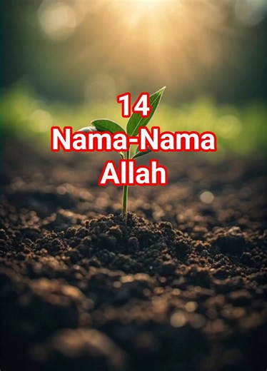 14 Nama-Nama Allah #peringatan #dakwah #islam #akhirat