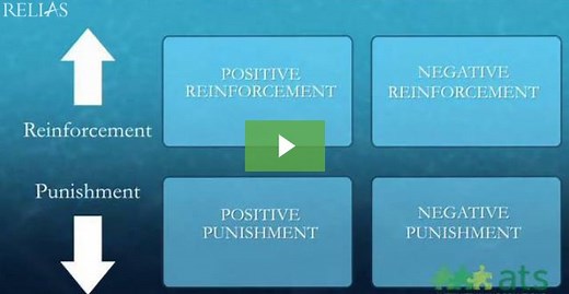 Positive and Negative Reinforcement in ABA [Video]