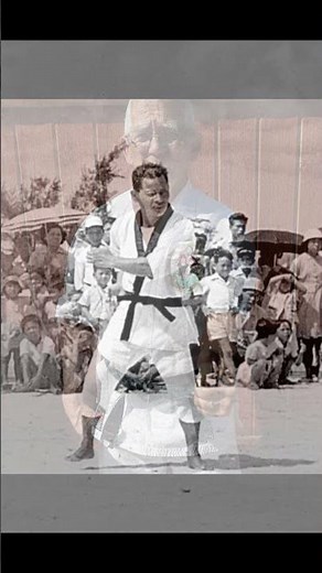 Isshinryu Karate: The Vertical Punch and Natural stances