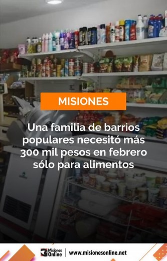 La coordinadora provincial del Instituto de Investigación Social Económica y Política Ciudadana (ISEPCi), Belén Wagner, compartió preocupantes datos sobre la situación económica en los barrios populares de Argentina, basados en los relevamientos realizados por la organización en diferentes provincias del país. | misionesonline.net