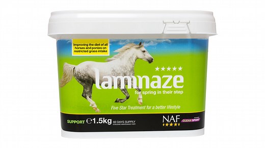 Supplements formulated to support horses prone to laminitis | Horse & Hound