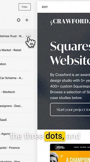 How to Duplicate a Portfolio Project Squarespace