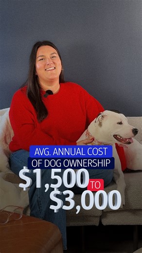 Is your budget ready for a furry family member? 🐶💸 ​ ​Pet love is priceless, but the costs can add up. From food to vet visits, owning a dog is a long-term commitment worth planning for.🐾 ❤️ | Bank of America