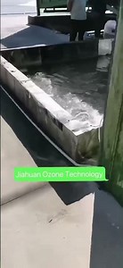 3 sets 100g/hr Ozone Generator for Fish Farming Aquaculture Ozonator