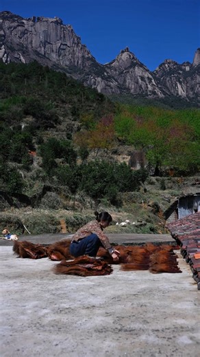Timeless Farming Wisdom from Ancient China 🌾✨ #AncientChina #HistoryUncovered #CulturalTreasures #TimelessWisdom #AsianHeritage | Across Asia