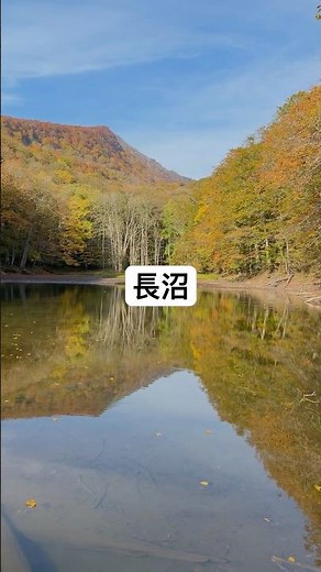 長沼 #長沼 #倒木 #森林浴 #静寂の世界 #蔦野鳥の森 蔦七沼の中で最も細長い形をした『長沼』。その名の通り、遊歩道に寄り添うように長く続く水面が特徴です。透明度が非常に高く倒木が見える。
