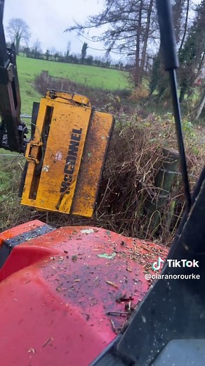 Expert Guide to Hedge Cutting Around Fences