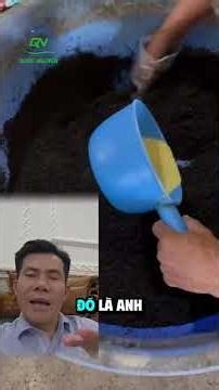 Đừng Để Tôm Bệnh - Hãy Ngừa Ngay Từ Đầu Bằng Các Dòng Trộn Chi Tiết