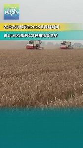 农业农村部发布2025年春耕期间 东北地区秸秆科学还田指导意见_澎湃号·媒体_澎湃新闻-The Paper