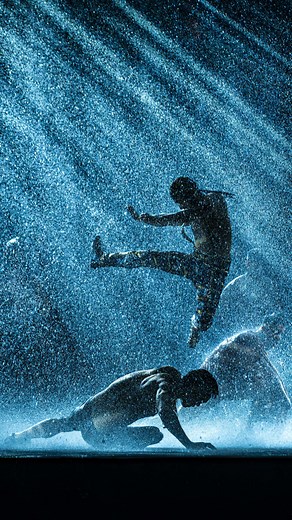 Experience Martial Arts Mastery at House of Dancing Water