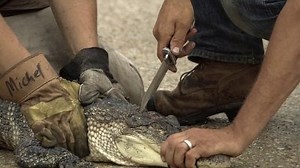 Watch The Colony Season 2 Episode 6 - Skout