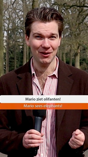 How to Use "Geen" in Dutch | EDSh57