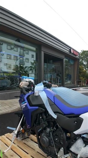 🔥T7 ICON Blue 2026!!