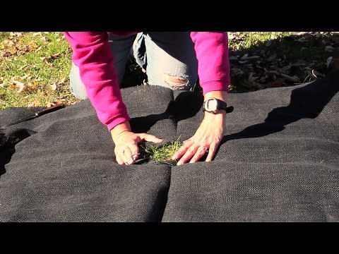 How to Plant a Garden With Fabric : Gardening Techniques
