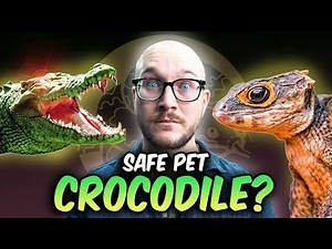 I Recommend Pet Crocodiles FOR BEGINNERS! The Safest "Crocodilian" Pets!