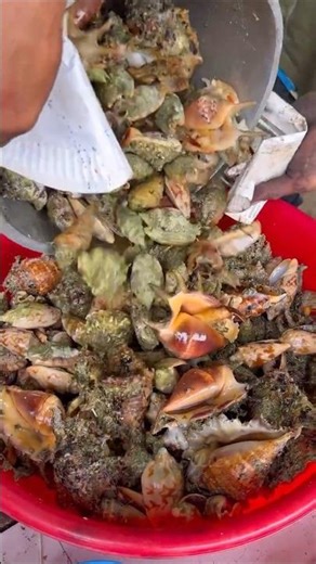 Sea snails are edible too. #elaine #food #cooking