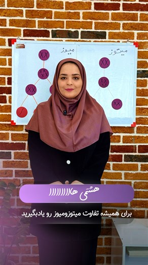 ‎👩🏻‍🏫خانوم علوم،زهرا علیزاده-علوم هفتم هشتم نهم‎ on Instagram‎: "هشتمی هااااا بااین جدولی که براتون آماده کردم به راحتی تفاوت میتوز ومیوز رو برای همیشه تو ذهنتون موندگار میشه✔️✨🧬 کلمه «میتوز»رو کامنت کن تا برات بفرستم‼️ من خانوم علومم،کلی نمونه سوال و نکته از علوم هشتم ونهم تو پیجم براتون گذاشتم پس حتما همراه من باش🎗️ کلاس خصوصی بصورت آنلاین و حضوری✨ #علوم_تیزهوشان #علوم_هشتم #علوم_نهم #میتوز #میوز"‎