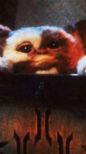 This is what happens when you feed a Mogwai after midnight...