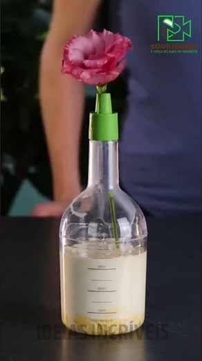 Easy Kitchen Hacks: Grate, Measure, Slice, and Separate Food! #shorts