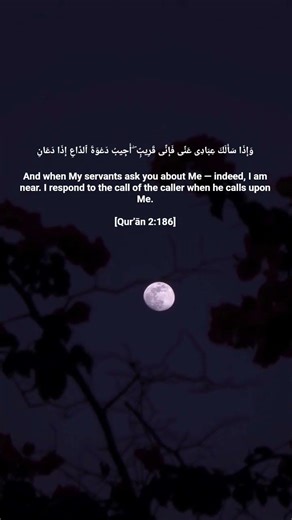 قال الله تعالى: وَإِذَا سَأَلَكَ عِبَادِى عَنِّى فَإِنِّى قَرِيبٌۭ ۖ أُجِيبُ دَعْوَةَ #القرءان #fyp
