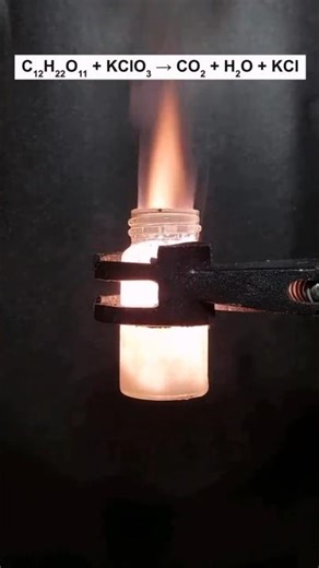 C12H22O11 + 8KClO3 → 12CO2 + 11H2O + 8KCl #scienceexperiment #cbse #10thclass