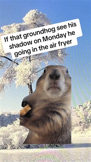 Groundhog Day Humor: Air Fryer Memes Explained
