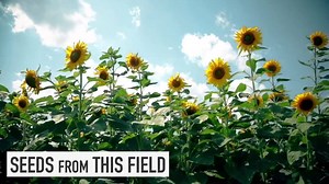 3.7K views · 93 reactions | This innovative company is the only...